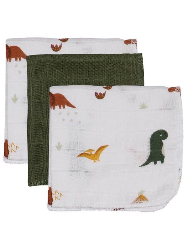 Pack de 3 tetras Dinosaure (Tryco)