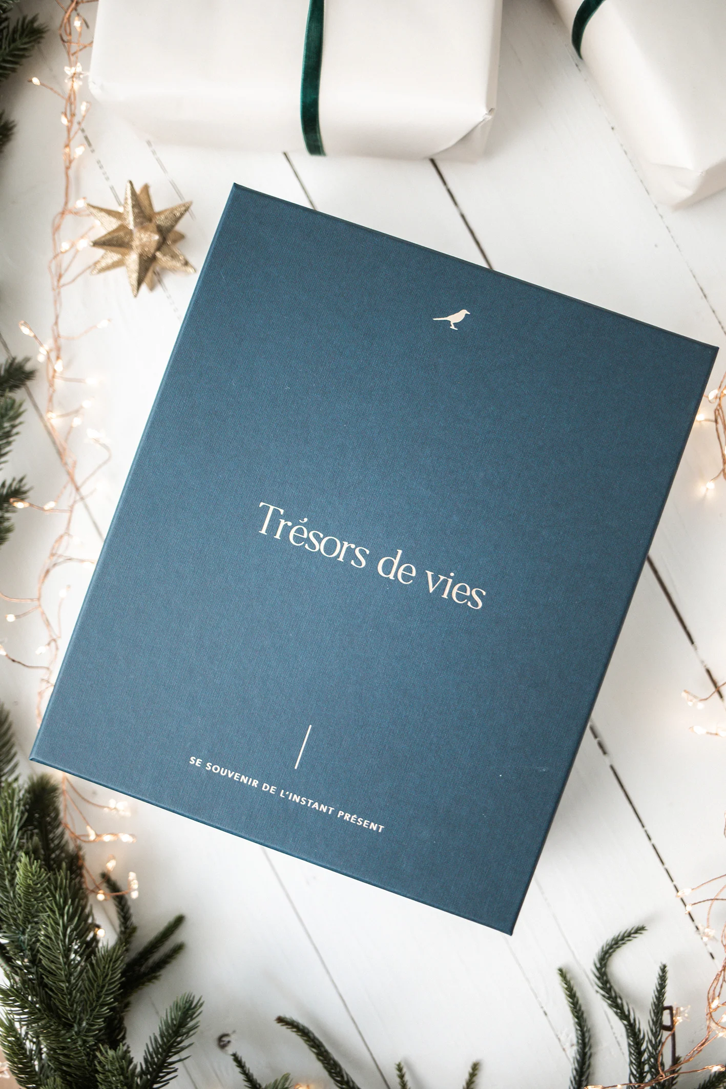 Trésors de vie " + son pochon + le set d'acessoires (Revivre)