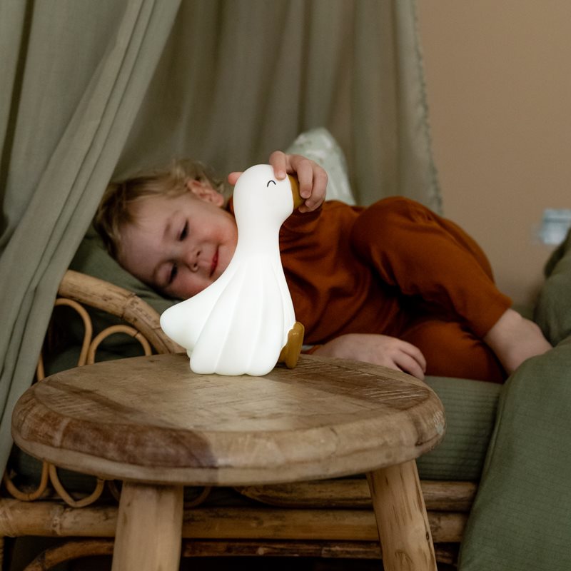 Veilleuse Petite Oie (Little Dutch)